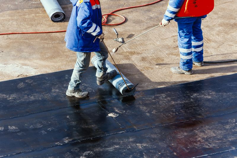 Professional Asphalt Roof Repair 2